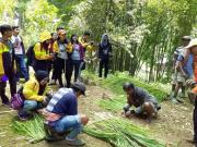 Angels Homestay Batutumonga