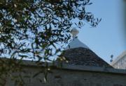 Trulli Donna Gina