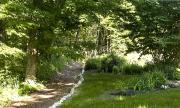 Top South Newfane