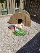 Top Saint-Mards-en-Othe