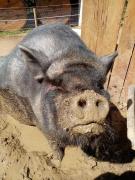 Top Saint-Mards-en-Othe