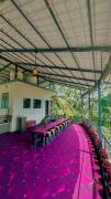 Top Wayanad