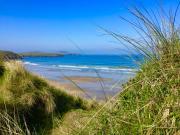 Top St. Davids