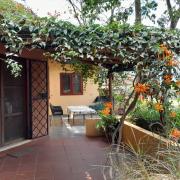 Simbamwenni Lodge and Camping