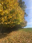 Lumpovna wellness apartmán