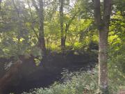 Top Llanrhaeadr-ym-Mochnant