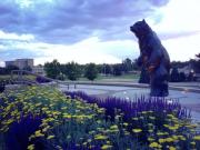 Top Greeley