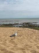 Top Saint-Pierre-dʼOléron