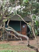 Amangwane Tented Camp