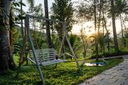 Top Wayanad