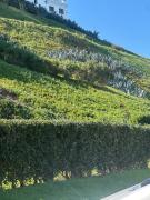 Widad appart centre-ville 5 min tgv