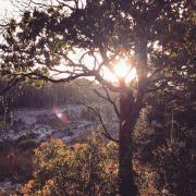Top Dripping Springs
