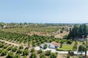 Top Estepona