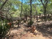 Reverie Safari Lodge, Marloth Park