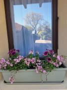 Top Saint-Michel-Saint-Jaymes