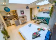 Jungle Studio - 2P à 4P -Henriville