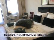 Top Bräunlingen