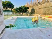 Top Posidhonía Top Posidhonía