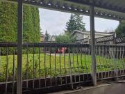 Enjoy Life in Heart of North Delta