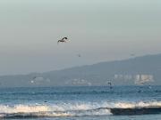 Top Nuevo Vallarta