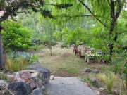 Top El manzano historico