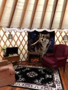 Superb Yurt Rental near George Washington National Forest in Luray, Virginia