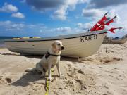 Top Ostseebad Karlshagen