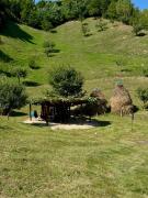 Top Sîngeorz-Băi Top Sîngeorz-Băi