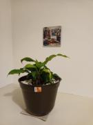 Top Xicotepec de Juárez