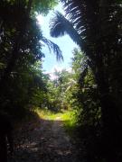 Top Rio Preto Da Eva