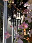 Modern Cabin near Lago Gutiérrez - Roble
