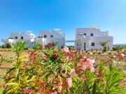 Saint Nicholas Houses