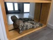 Top Melenara Top Melenara