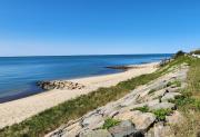 Top Dennis Top Dennis
