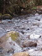 Top São José dos Campos