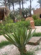 Zagora Oasis Lodge