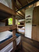 Top BahÃa Solano Top BahÃa Solano