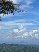 Top San Francisco Chinameca