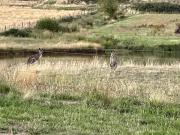 Top Yarra Glen