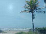 Top Praia Grande