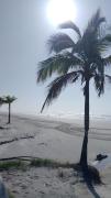 Top Praia Grande