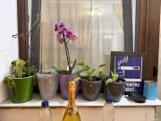 Top Drobeta-Turnu Severin Top Drobeta-Turnu Severin