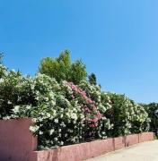 Appartement Prive Arbore Calme