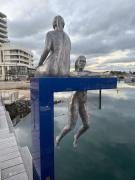 Top Shellharbour