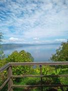 Top Mantilhue Top Mantilhue