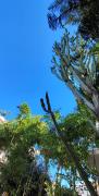 Top Bordighera