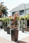 Top Hermanus