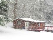 Top Dellroy Top Dellroy