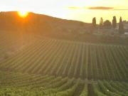 Top Castellina in Chianti