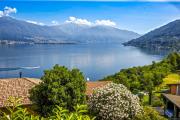 Top Pino Lago Maggiore
